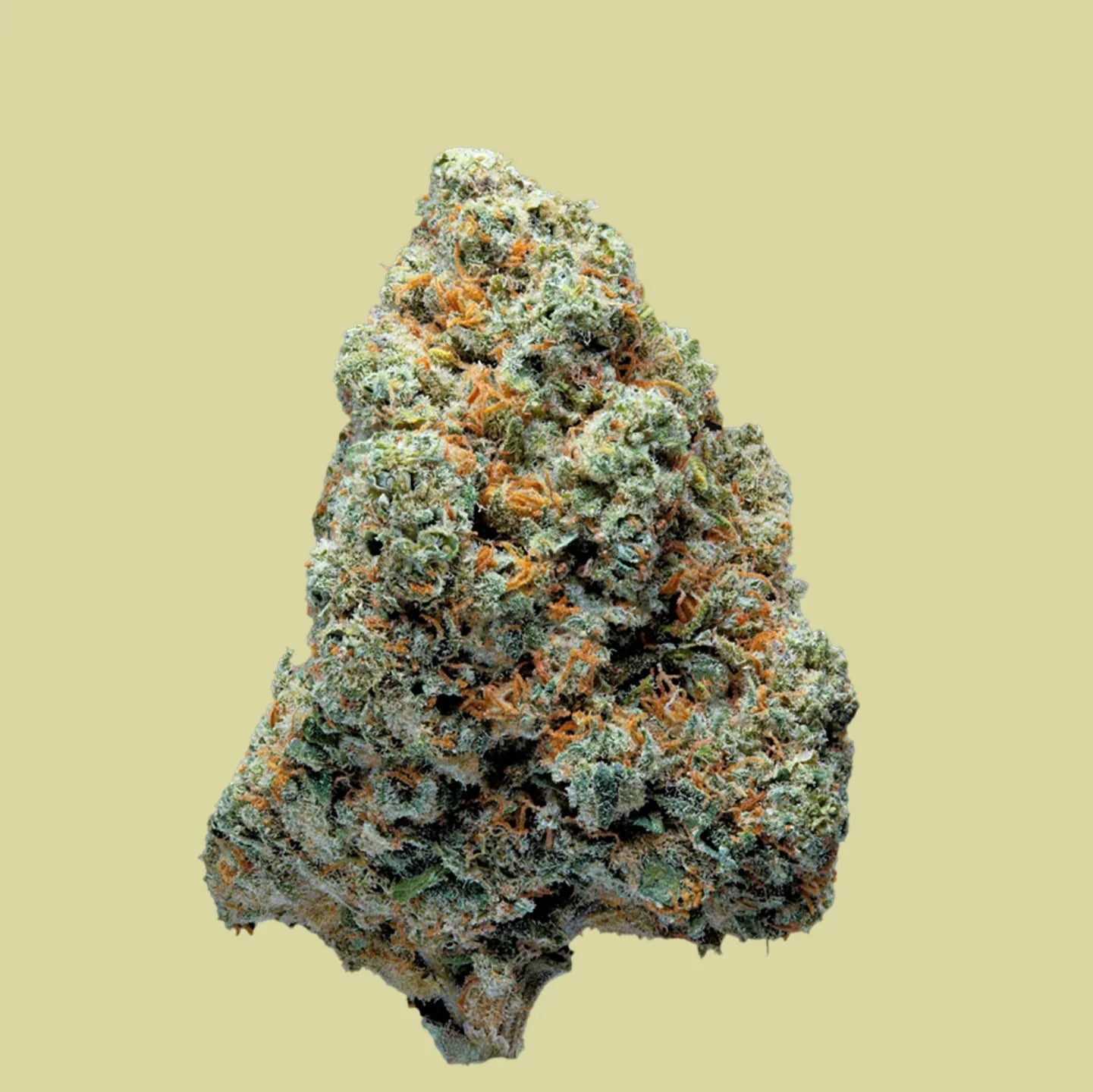 FLORES 10-0H 35% OG KUSH GREEN HOUSE