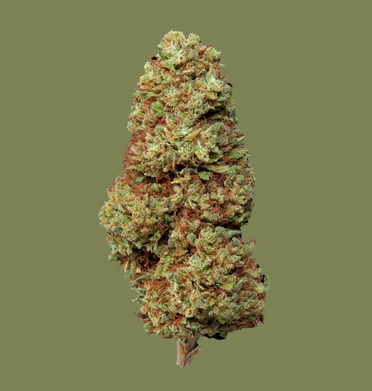 Cannatonic – Flores CBD 20% con un Aroma Único