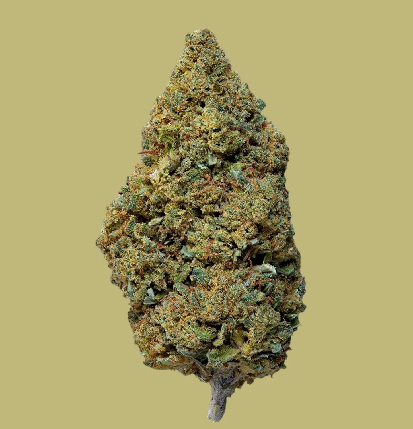 Durban Poison 20% CBD INDOOR