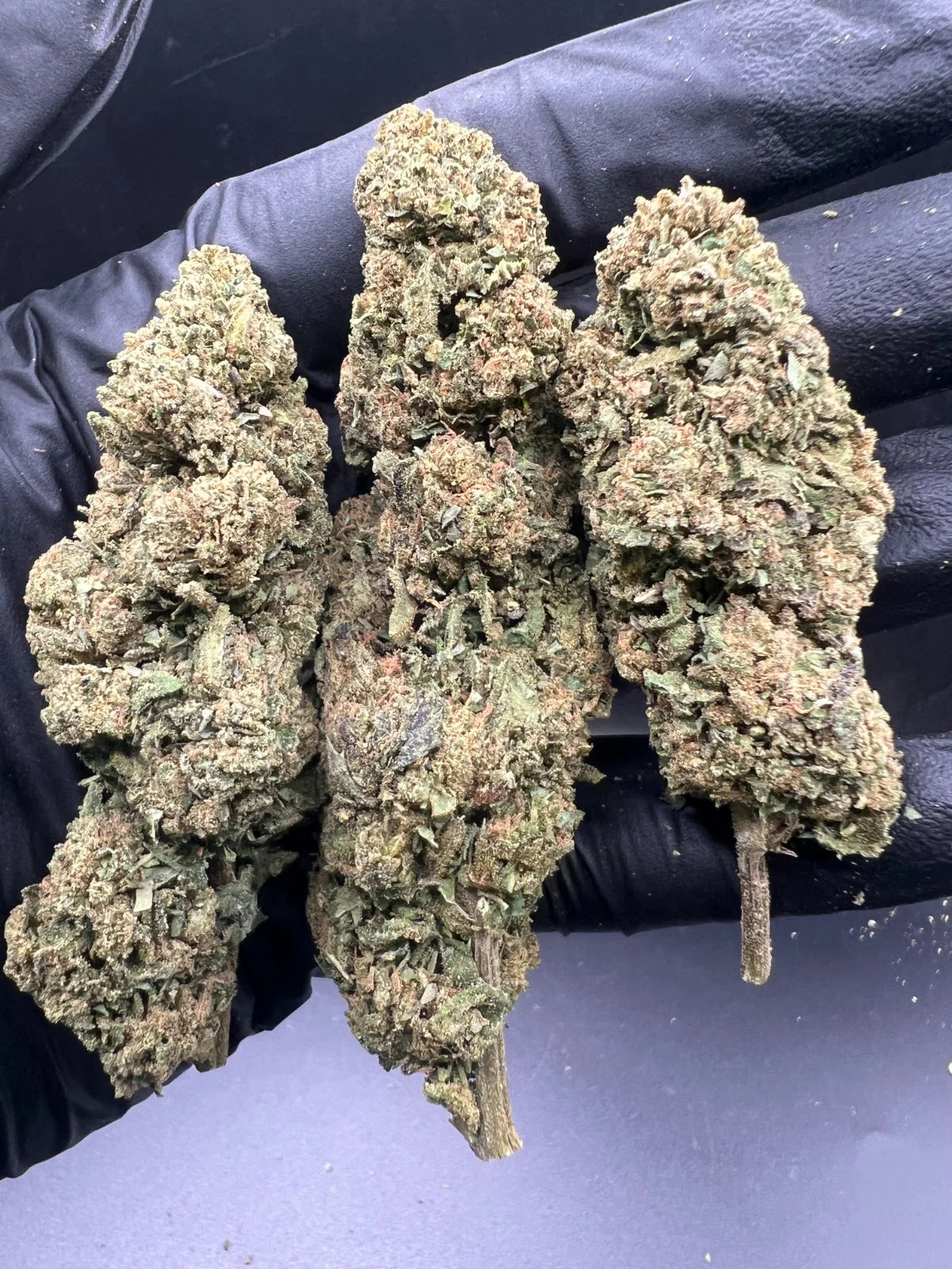 Royal Amnesia Hidropónica 16% CBD Precio regular