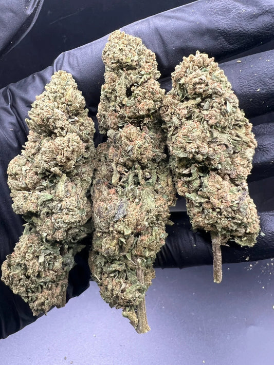 Royal Amnesia Hidropónica 16% CBD Precio regular
