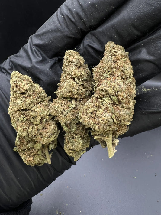 Super Lemon Haze 8% CBD | The Green Muse CBD 🌿