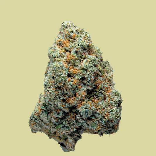 FLORES 10-0H 35% OG KUSH GREEN HOUSE