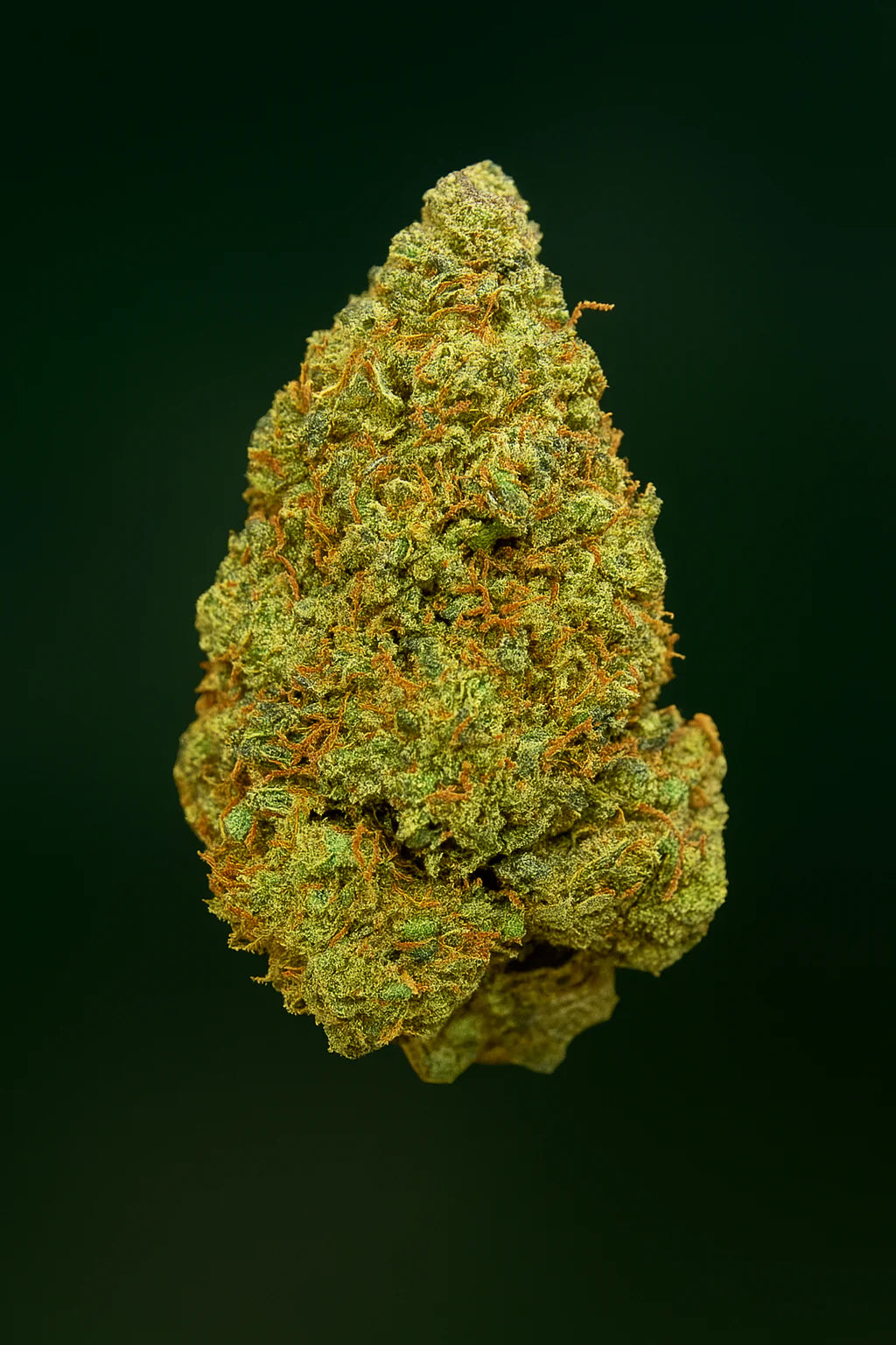 Super Lemon Haze THZ 20% · Flor Aromática Premium Indoor | Aromas Cítricos Intensos