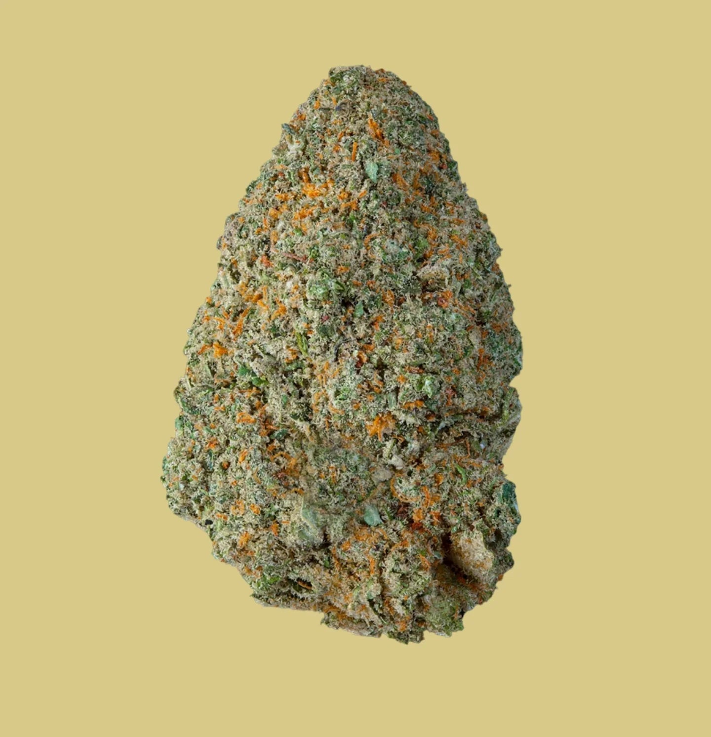 Skywalker Reina de las Reinas