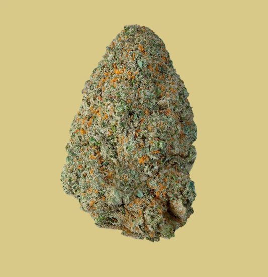 Skywalker Reina de las Reinas